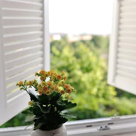 Apartment Sv. Anton
